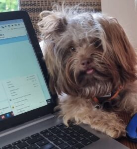 Assistent Micky am PC